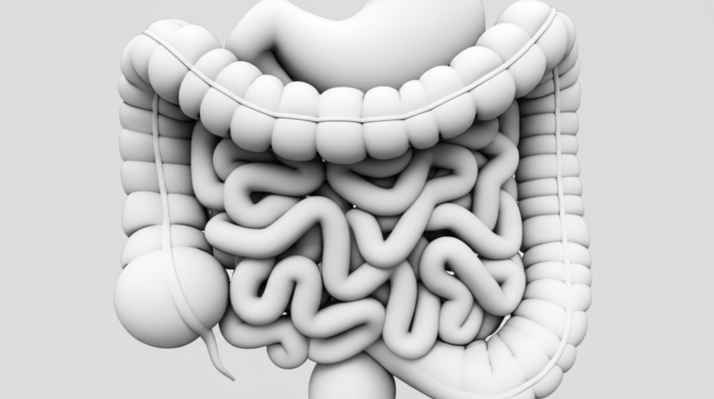 Quy trình chuyển hóa thức ăn